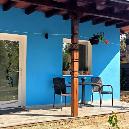 Casaady Villa Târgu Neamţ Dış mekan fotoğraf
